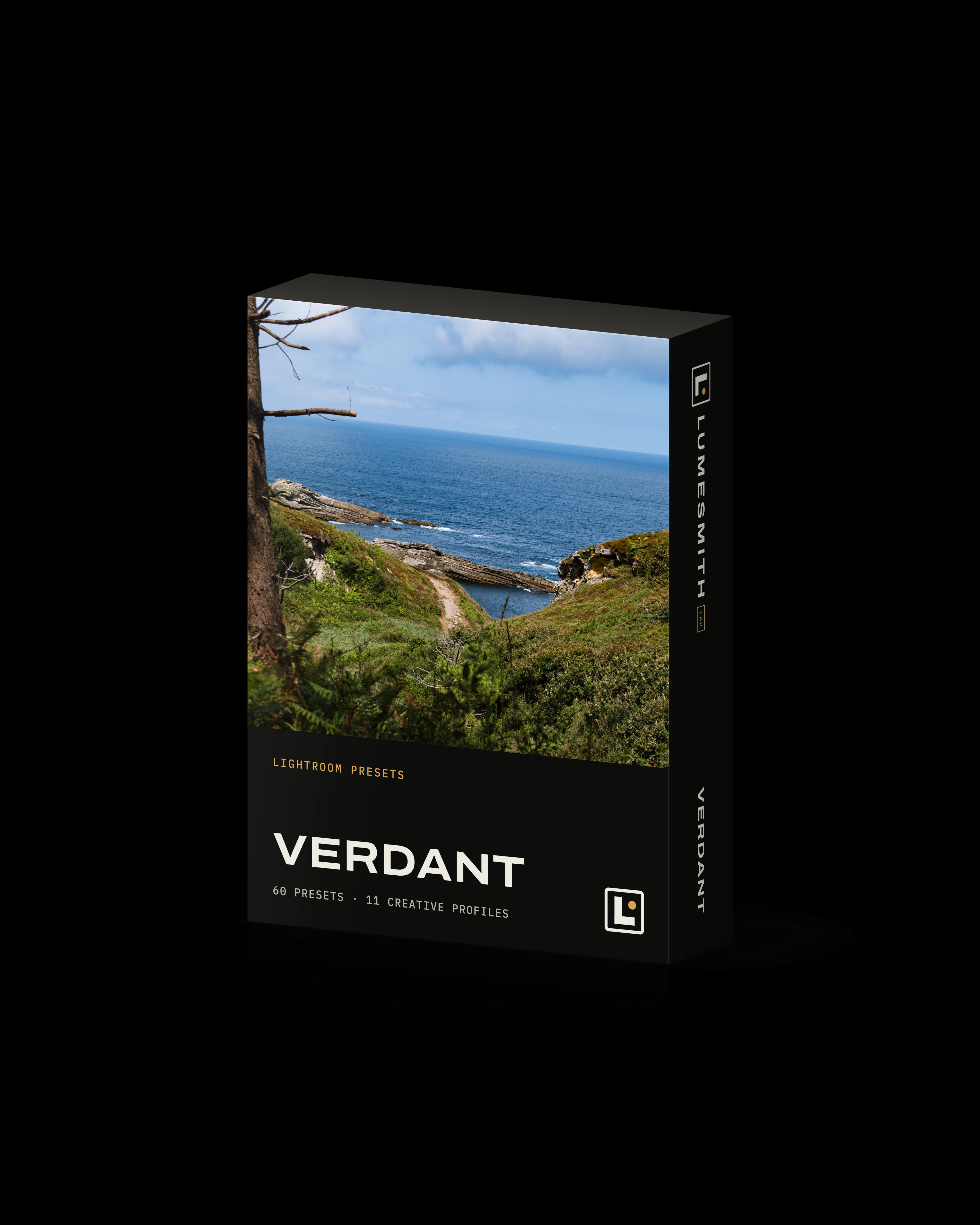 Box of the Verdant Lightroom preset pack, with a coastal path running down green slopes to a cove on the front
