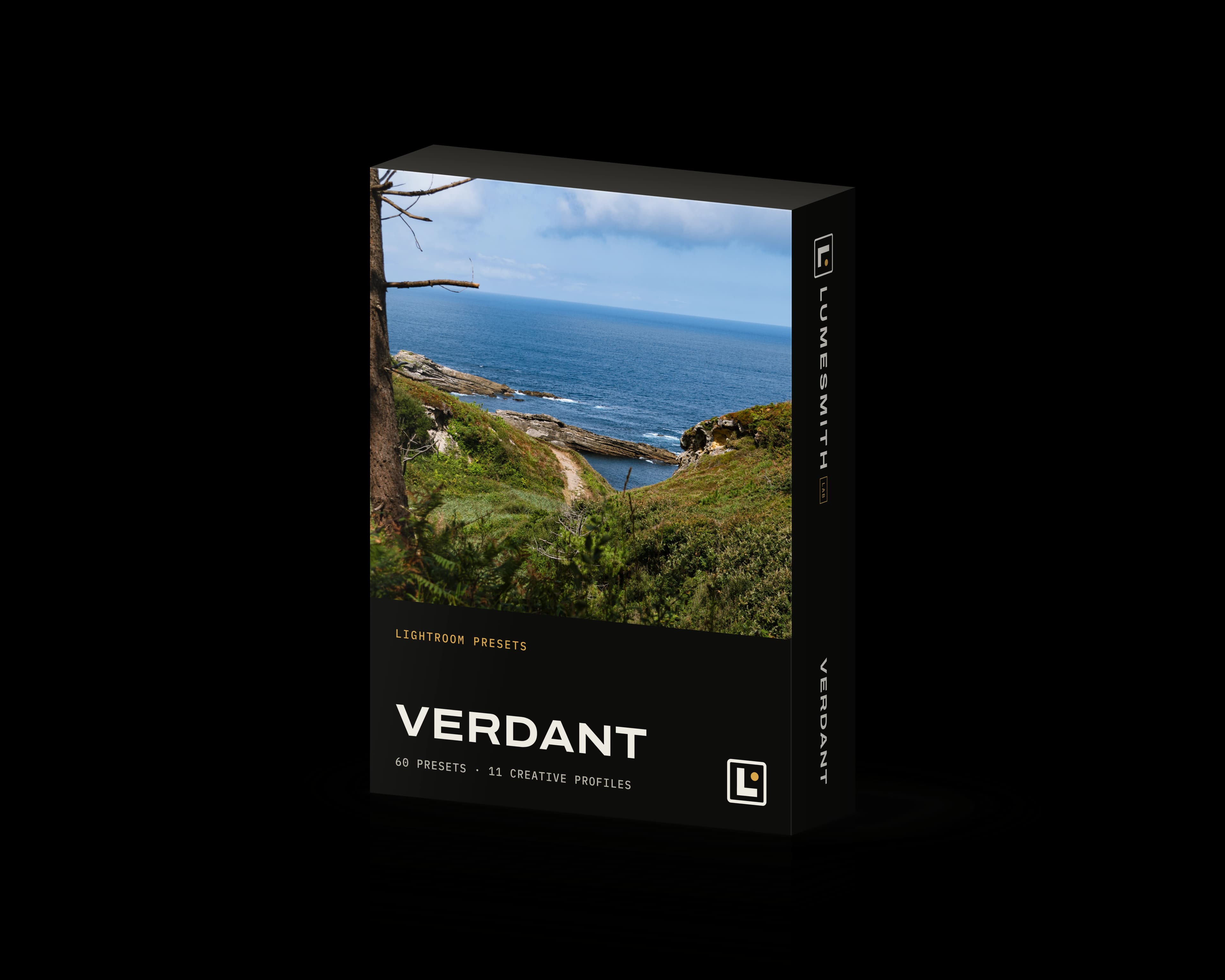 Box of the Verdant Lightroom preset pack, with a coastal path running down green slopes to a cove on the front